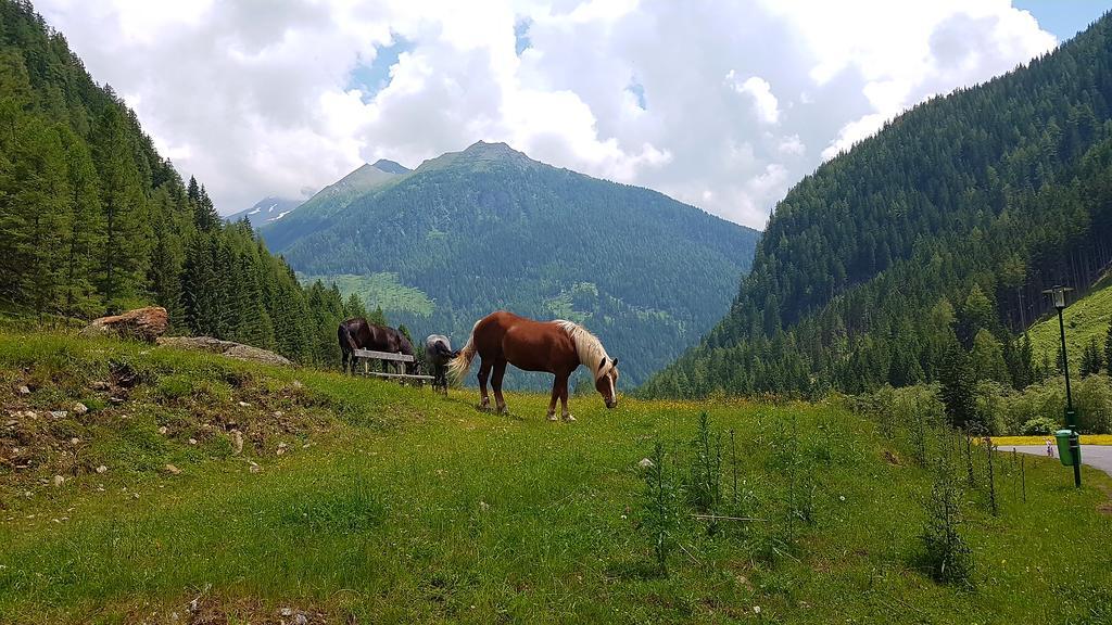 Gaestehaus Truskaller Hotell Mallnitz Exteriör bild